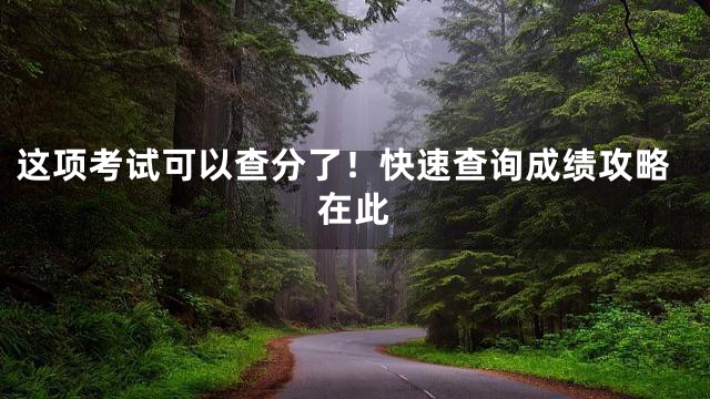 这项考试可以查分了！快速查询成绩攻略在此
