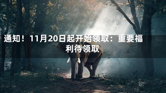 通知！11月20日起开始领取：重要福利待领取