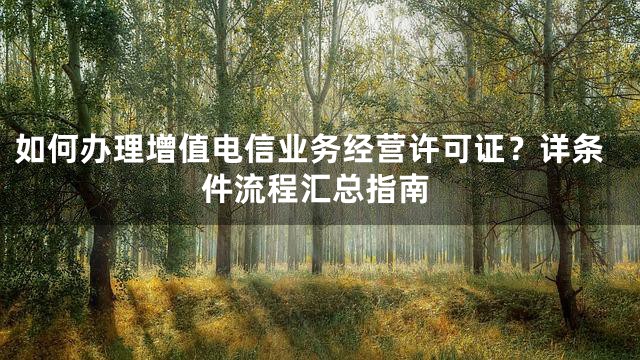如何办理增值电信业务经营许可证？详条件流程汇总指南