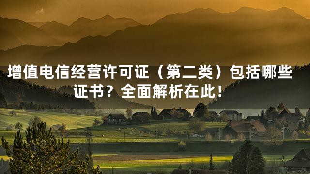 增值电信经营许可证（第二类）包括哪些证书？全面解析在此！