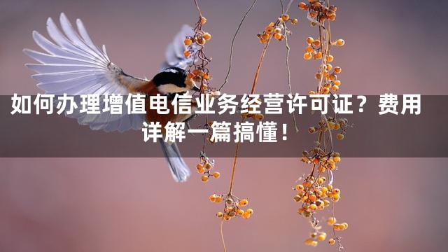 如何办理增值电信业务经营许可证？费用详解一篇搞懂！