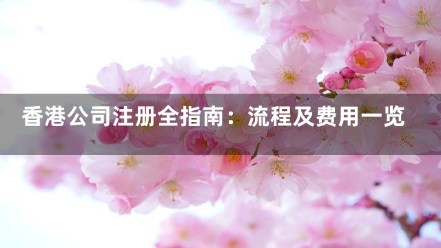 香港公司注册全指南：流程及费用一览