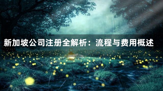 新加坡公司注册全解析：流程与费用概述