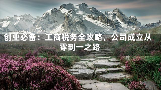 创业必备：工商税务全攻略，公司成立从零到一之路