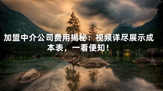 加盟中介公司费用揭秘：视频详尽展示成本表，一看便知！