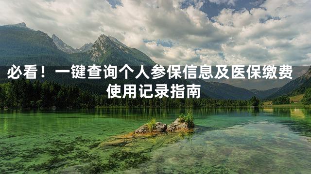 必看！一键查询个人参保信息及医保缴费使用记录指南