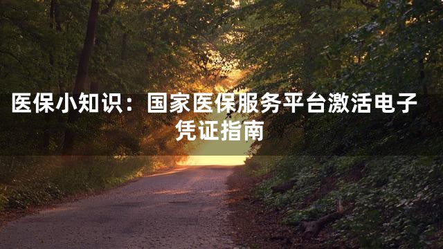 医保小知识：国家医保服务平台激活电子凭证指南