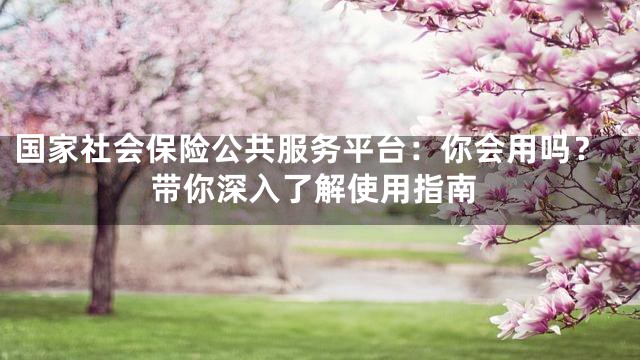 国家社会保险公共服务平台：你会用吗？带你深入了解使用指南