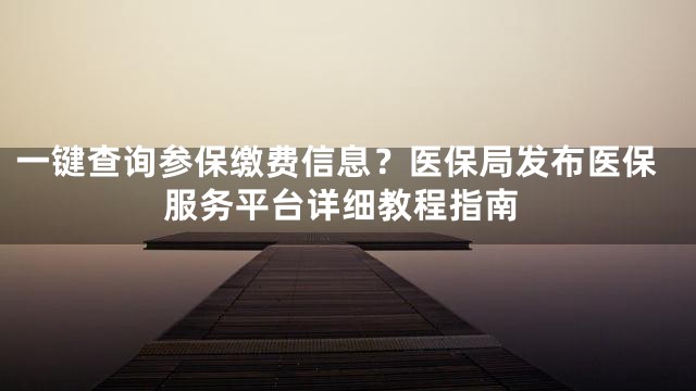 一键查询参保缴费信息？医保局发布医保服务平台详细教程指南