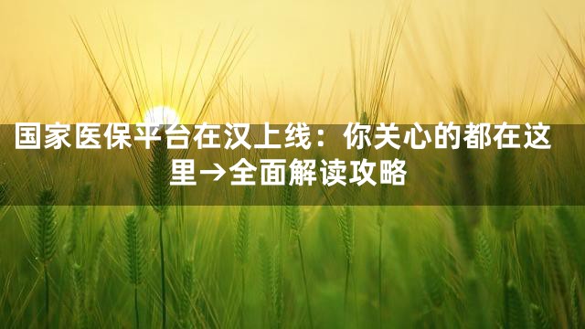 国家医保平台在汉上线：你关心的都在这里→全面解读攻略