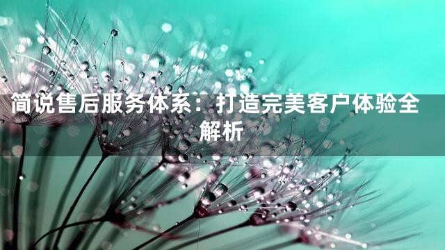 简说售后服务体系：打造完美客户体验全解析