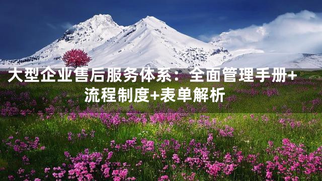 大型企业售后服务体系：全面管理手册+流程制度+表单解析