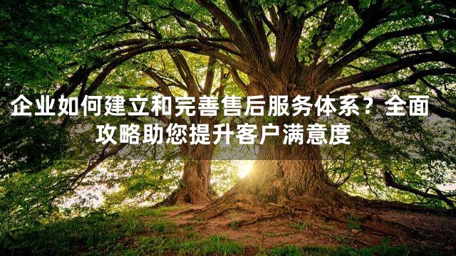 企业如何建立和完善售后服务体系？全面攻略助您提升客户满意度