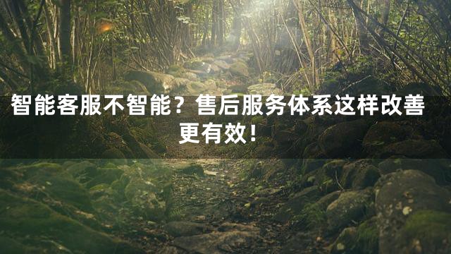 智能客服不智能？售后服务体系这样改善更有效！