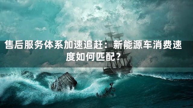 售后服务体系加速追赶：新能源车消费速度如何匹配？
