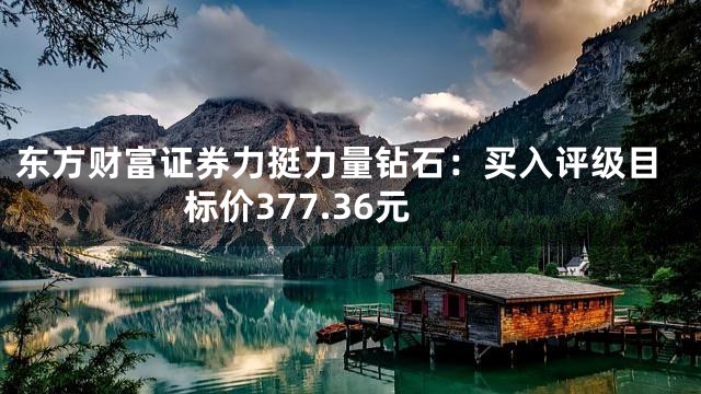 东方财富证券力挺力量钻石：买入评级目标价377.36元