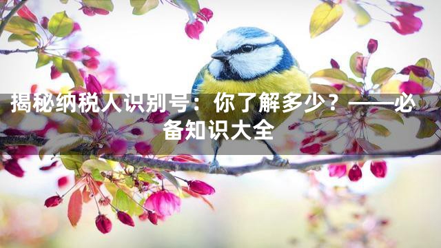揭秘纳税人识别号：你了解多少？——必备知识大全