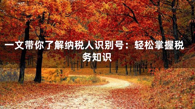 一文带你了解纳税人识别号：轻松掌握税务知识