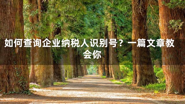 如何查询企业纳税人识别号？一篇文章教会你