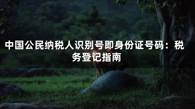 中国公民纳税人识别号即身份证号码：税务登记指南