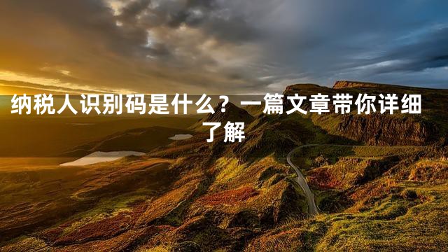 纳税人识别码是什么？一篇文章带你详细了解