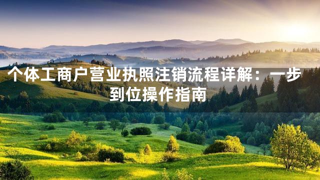 个体工商户营业执照注销流程详解：一步到位操作指南