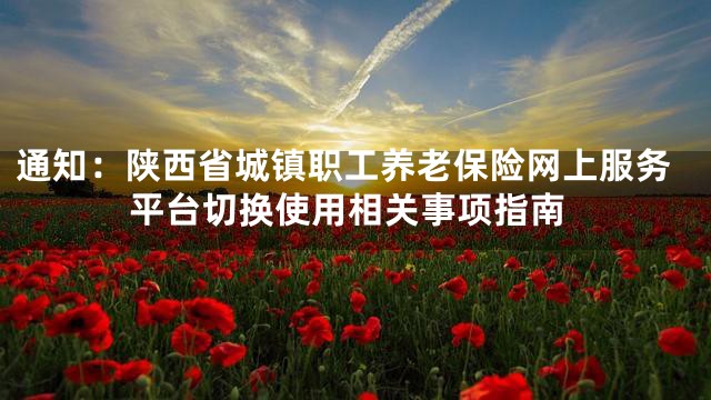通知：陕西省城镇职工养老保险网上服务平台切换使用相关事项指南