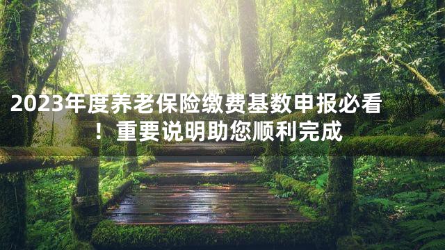 2023年度养老保险缴费基数申报必看！重要说明助您顺利完成