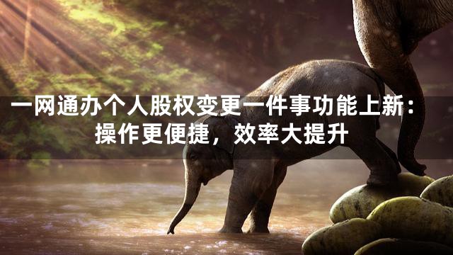 一网通办个人股权变更一件事功能上新：操作更便捷，效率大提升