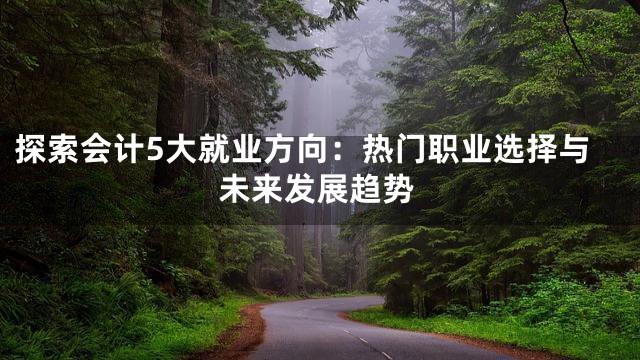 探索会计5大就业方向：热门职业选择与未来发展趋势