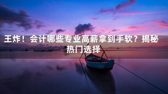 王炸！会计哪些专业高薪拿到手软？揭秘热门选择