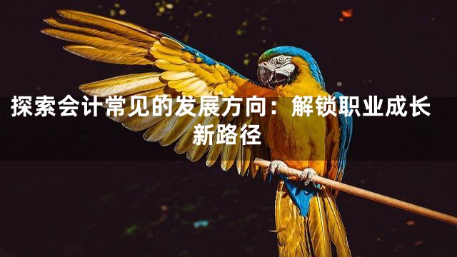 探索会计常见的发展方向：解锁职业成长新路径