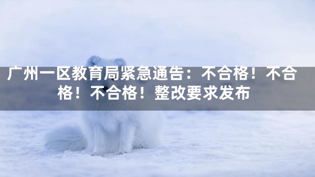 广州一区教育局紧急通告：不合格！不合格！不合格！整改要求发布