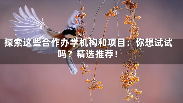 探索这些合作办学机构和项目：你想试试吗？精选推荐！