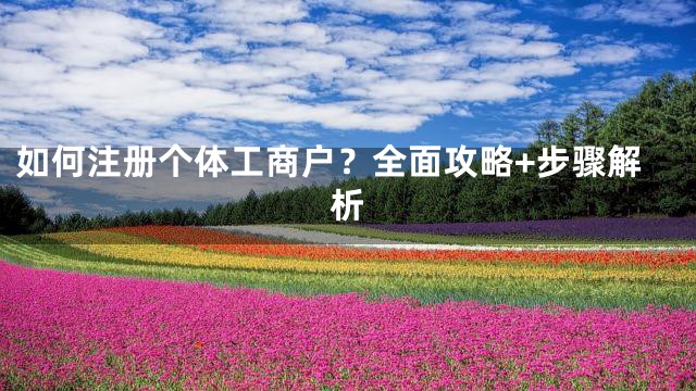 如何注册个体工商户？全面攻略+步骤解析