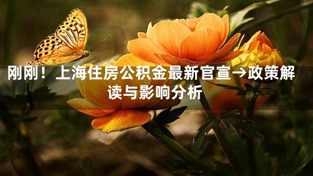 刚刚！上海住房公积金最新官宣→政策解读与影响分析
