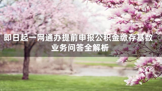 即日起一网通办提前申报公积金缴存基数业务问答全解析