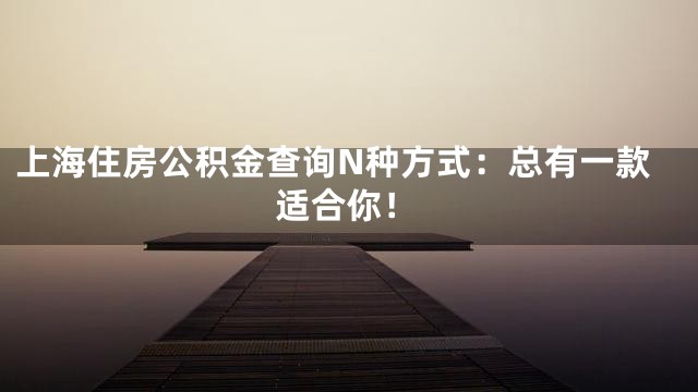 上海住房公积金查询N种方式：总有一款适合你！