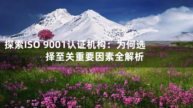 探索ISO 9001认证机构：为何选择至关重要因素全解析