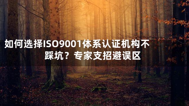 如何选择ISO9001体系认证机构不踩坑？专家支招避误区