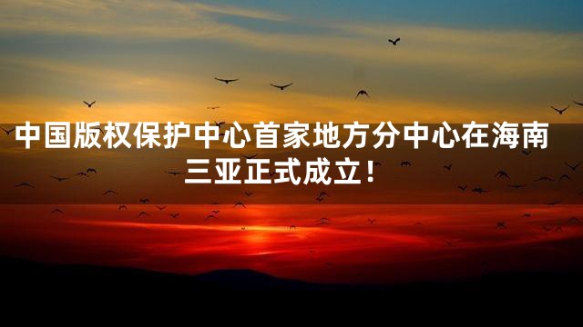 中国版权保护中心首家地方分中心在海南三亚正式成立！