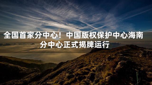 全国首家分中心！中国版权保护中心海南分中心正式揭牌运行