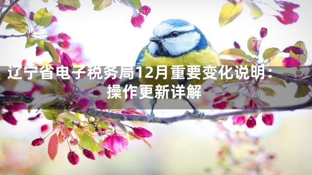 辽宁省电子税务局12月重要变化说明：操作更新详解