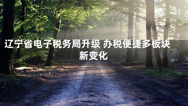 辽宁省电子税务局升级 办税便捷多板块新变化