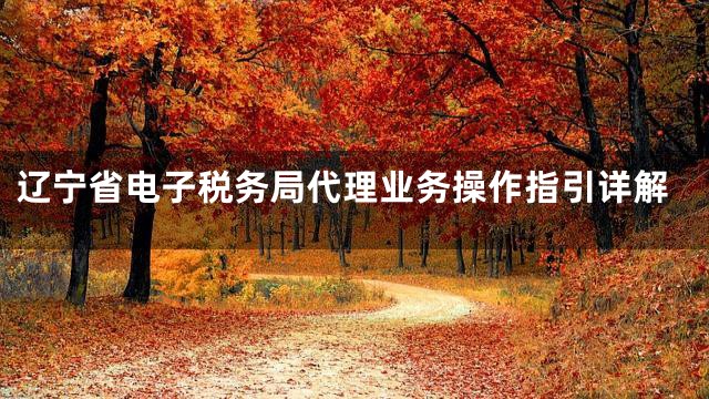 辽宁省电子税务局代理业务操作指引详解