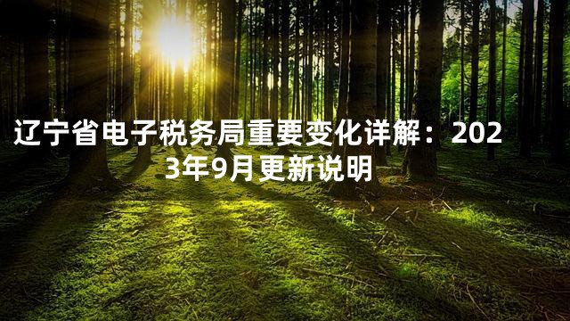 辽宁省电子税务局重要变化详解：2023年9月更新说明