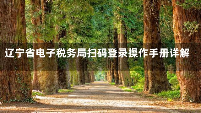 辽宁省电子税务局扫码登录操作手册详解