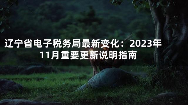 辽宁省电子税务局最新变化：2023年11月重要更新说明指南