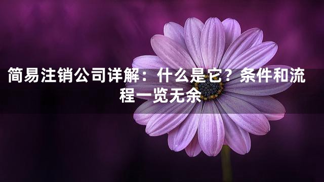 简易注销公司详解：什么是它？条件和流程一览无余