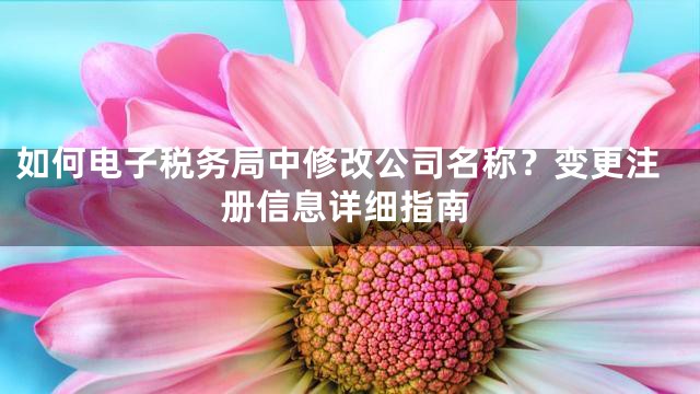 如何电子税务局中修改公司名称？变更注册信息详细指南